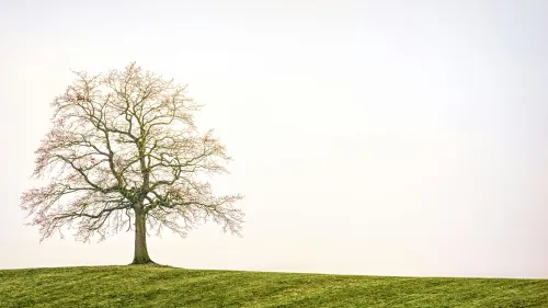 Achtsamkeit in der Natur