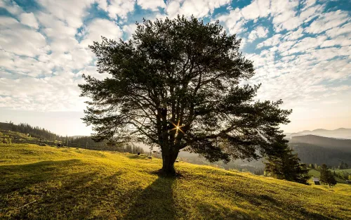 Achtsamkeit in der Natur-3