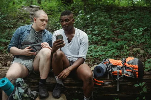 Wegweiser im Wald zeigt Richtung zum Ziel