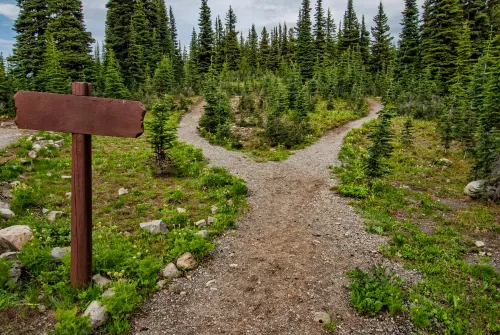 Weg im Wald symbolisiert den individuellen Pfad der Selbstverwirklichung