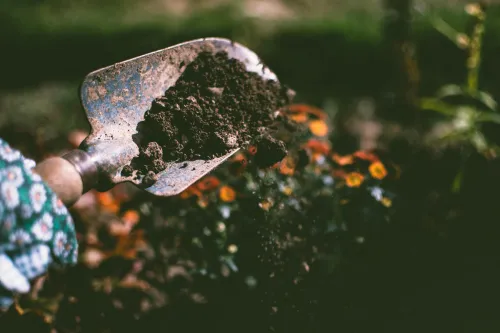 Gärtnern Vorteile: Mentale Gesundheit durch Gartenarbeit stärken