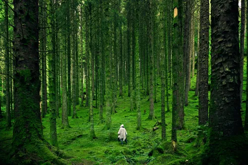 Person praktiziert Qigong in der Natur