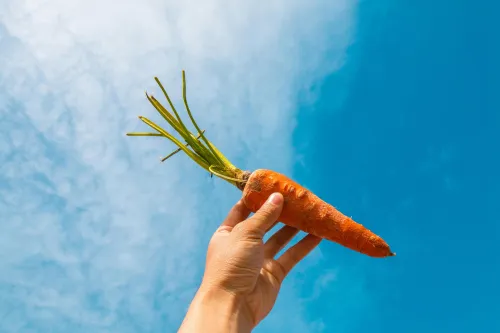 Gesundheitliche Vorteile von Bio-Produkten