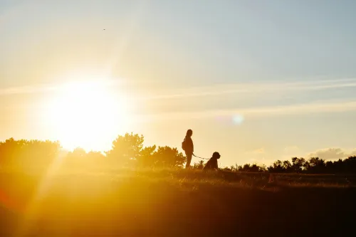 Frau und Hund im Sonnenuntergang